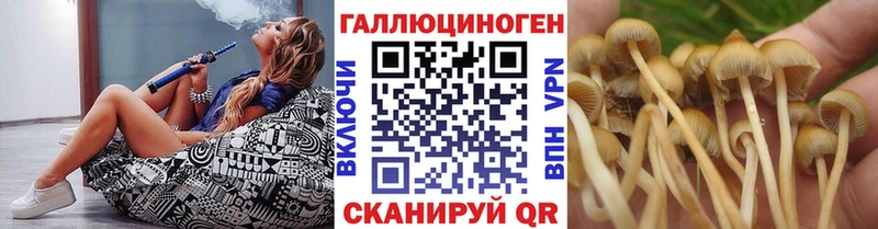 Псилоцибиновые грибы Psilocybine cubensis  купить  сайты  Суоярви 